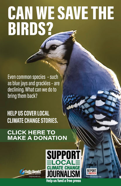 Support Climate Change Coverage Daily Herald Events